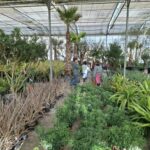 Pour prendre soin de son environnement avec les CM2