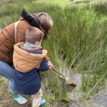 Les MS/GS découvrent la mare