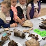 Sortie au Village des Sciences des Sables d&rsquo;Olonne
